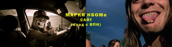 бошки Алексин