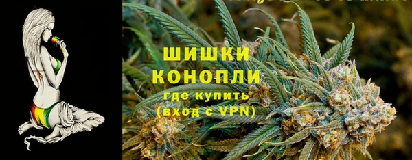 бошки Алексин
