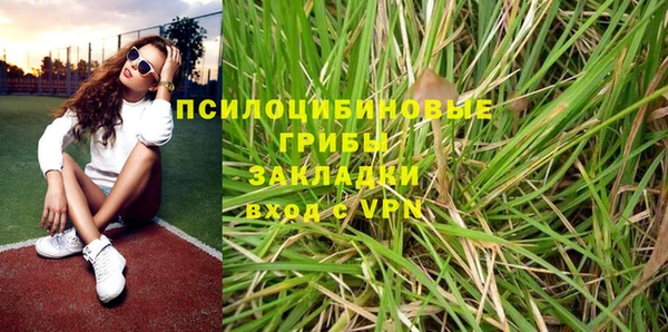 a pvp Алзамай