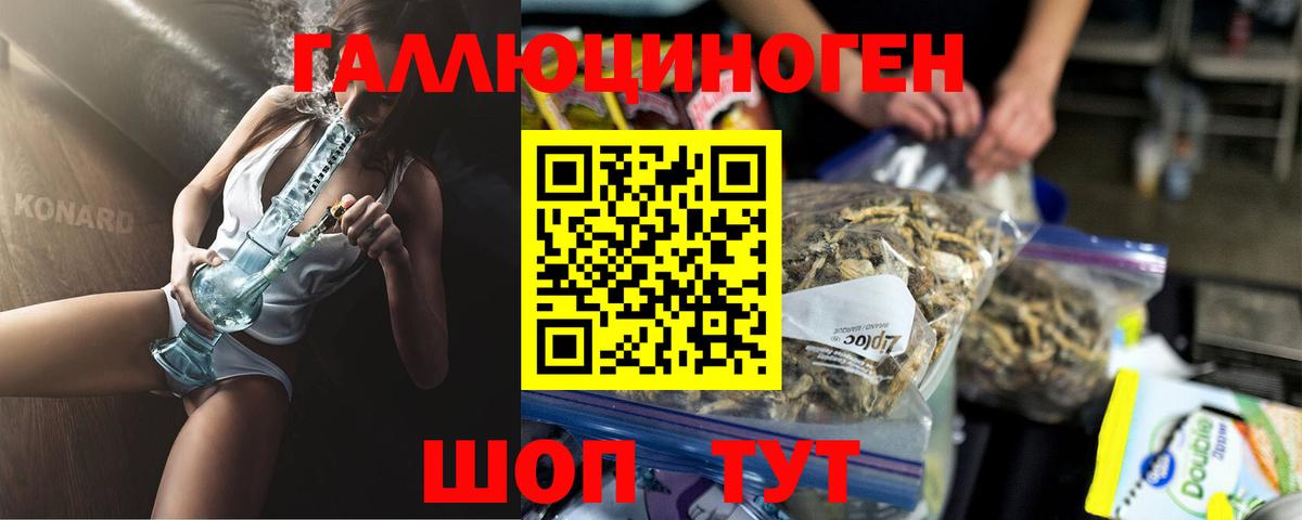 Галлюциногенные грибы прущие грибы  Псилоцибиновые грибы Psilocybe  Вход с VPN  Нижнеудинск 