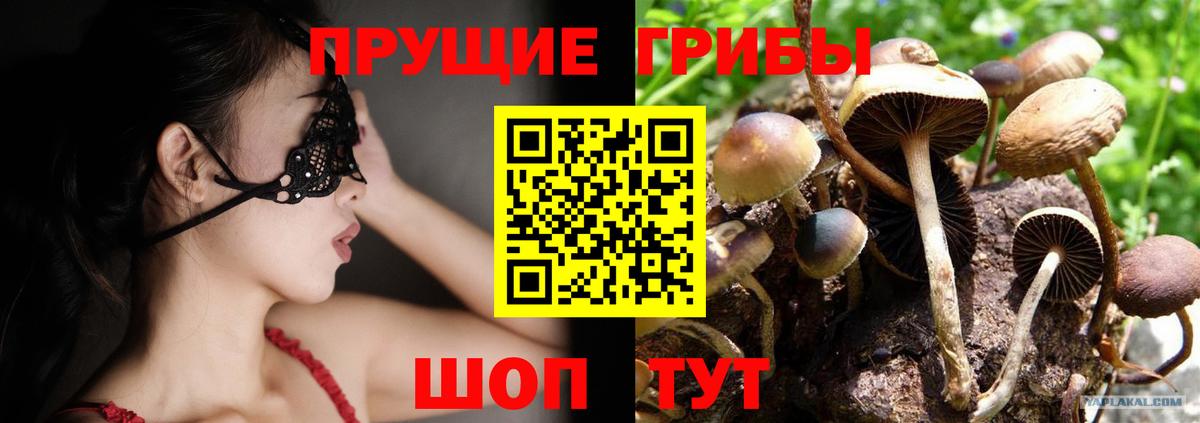 Псилоцибиновые грибы прущие грибы Нижнеудинск