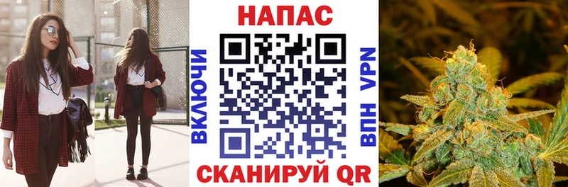 Бошки марихуана OG Kush  omg   Нижнеудинск 